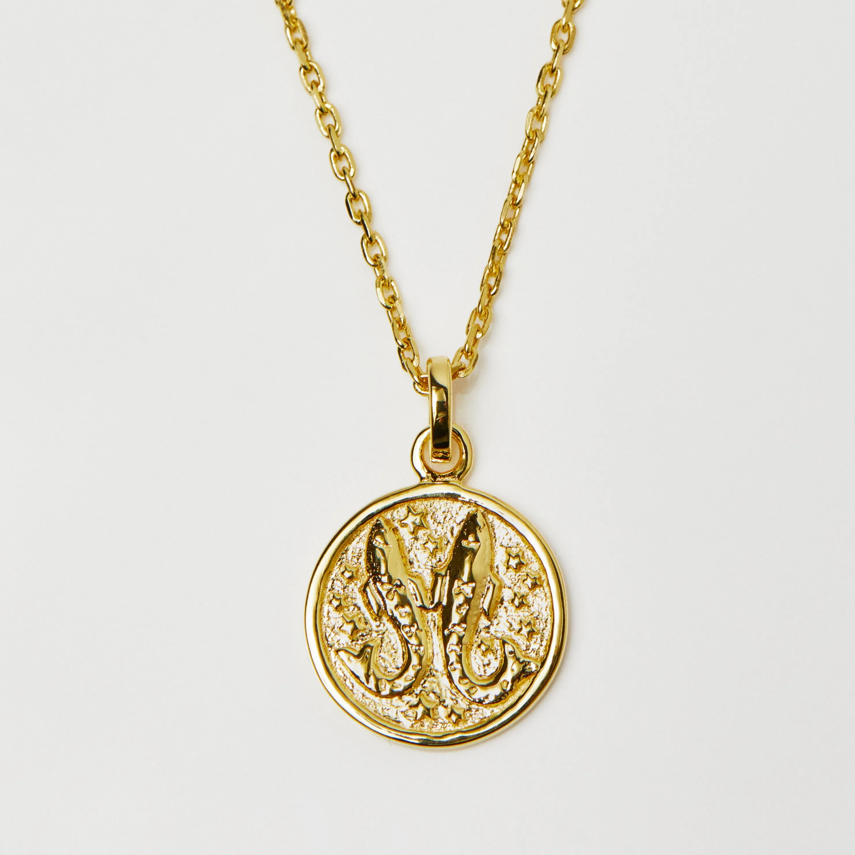 Horoscope Zodiac Engravable Coin Necklace