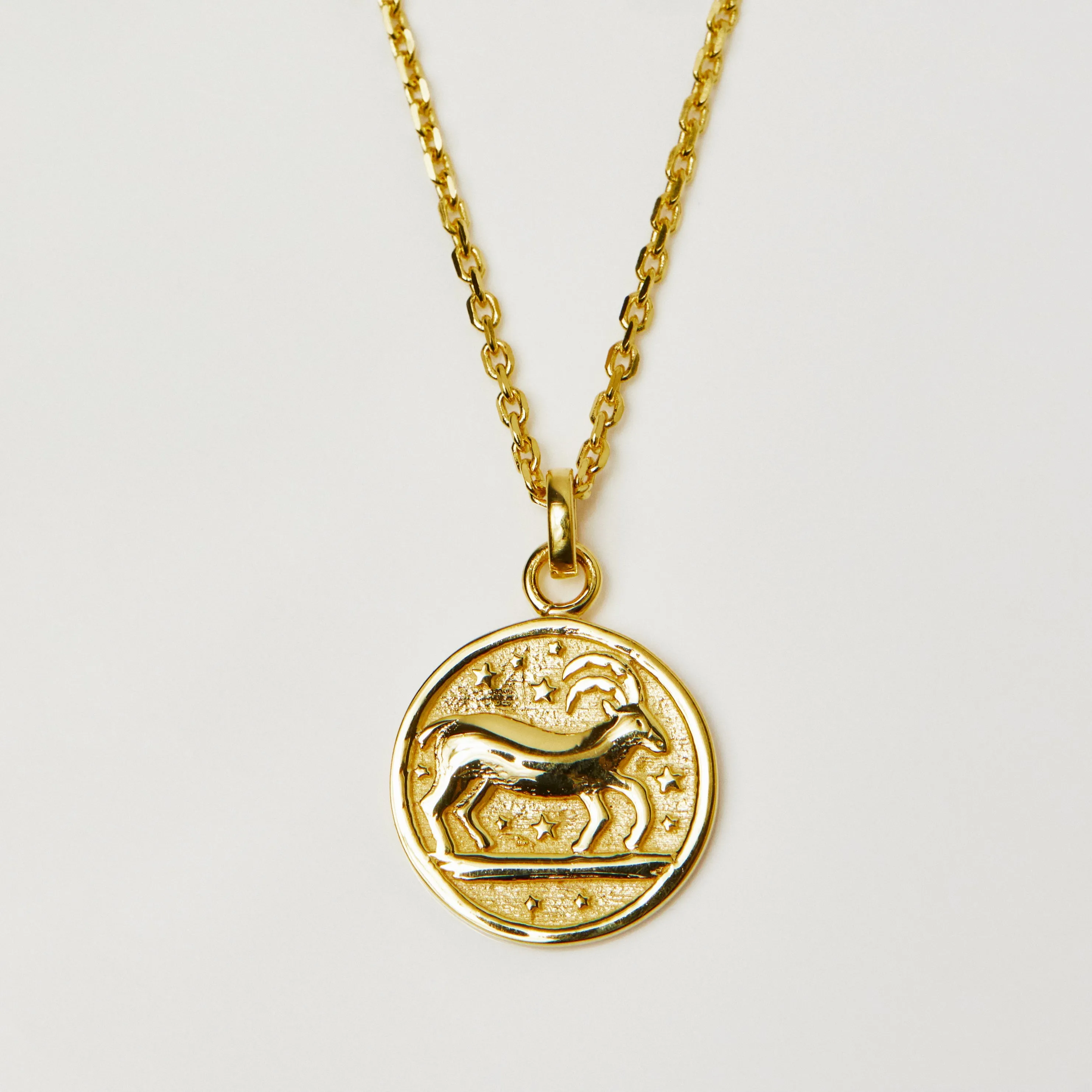 Horoscope Zodiac Engravable Coin Necklace