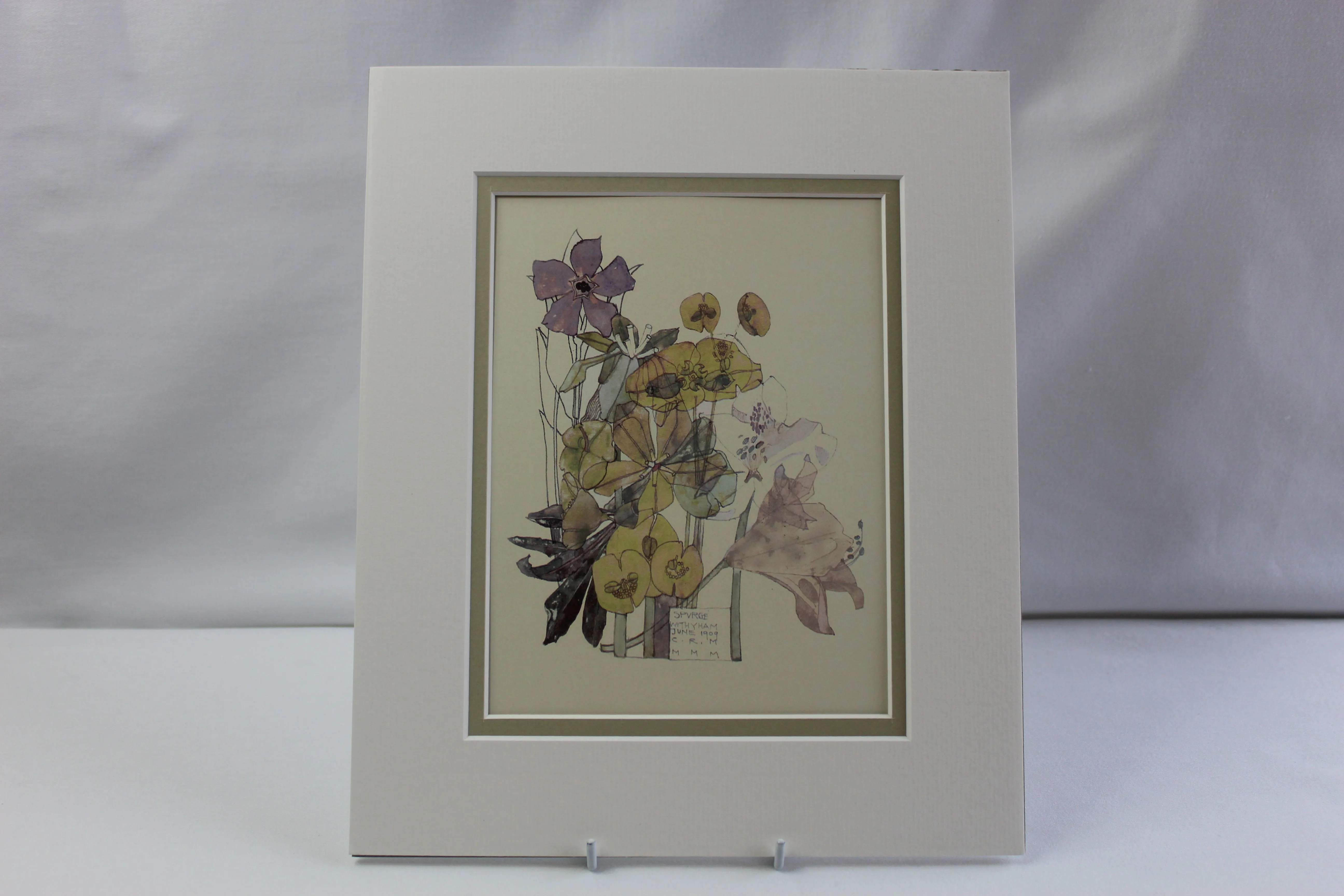 Mackintosh "Spurge" Print