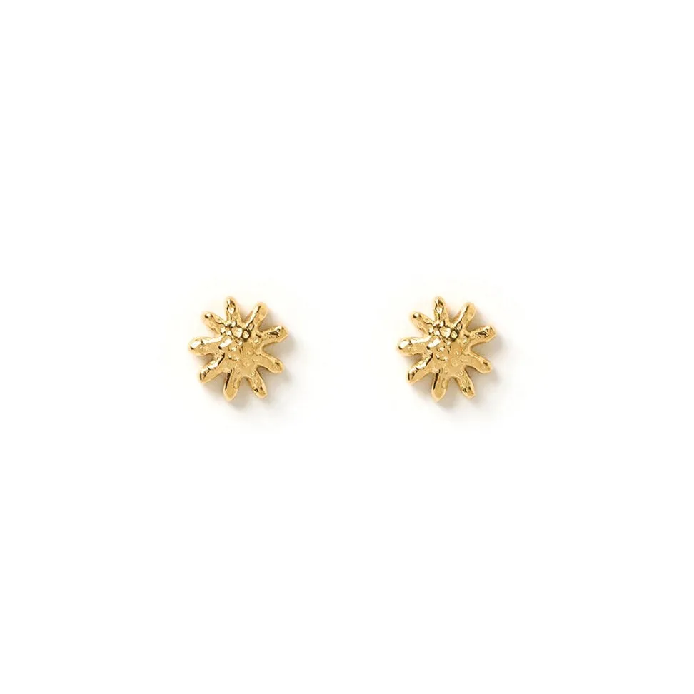 Magnolia Gold Studs