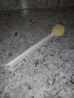 Shower Brush