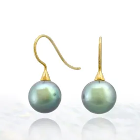 Tahitian pearl earrings - 18k gold cone shepherd hooks - EAYGPE00236